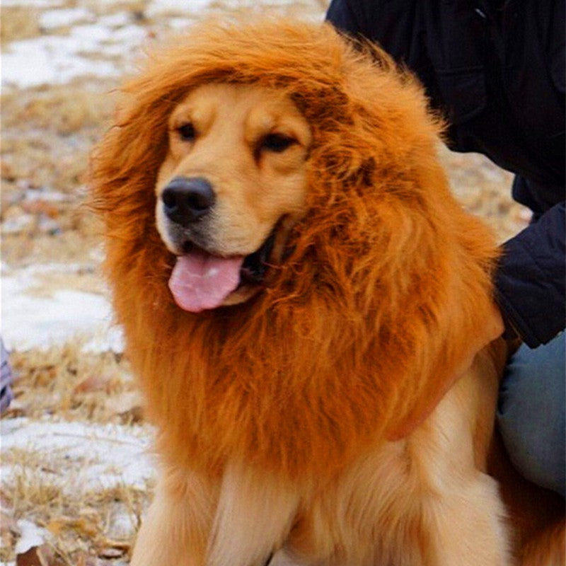 Lion Head Wig Costume for Dogs