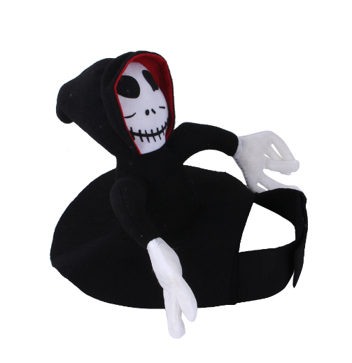 Halloween Goblin Rider Pet Costume