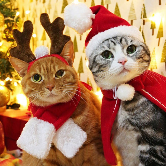 Pet Costume Antlers, Hat and Scarf Set for Dogs and Cats
