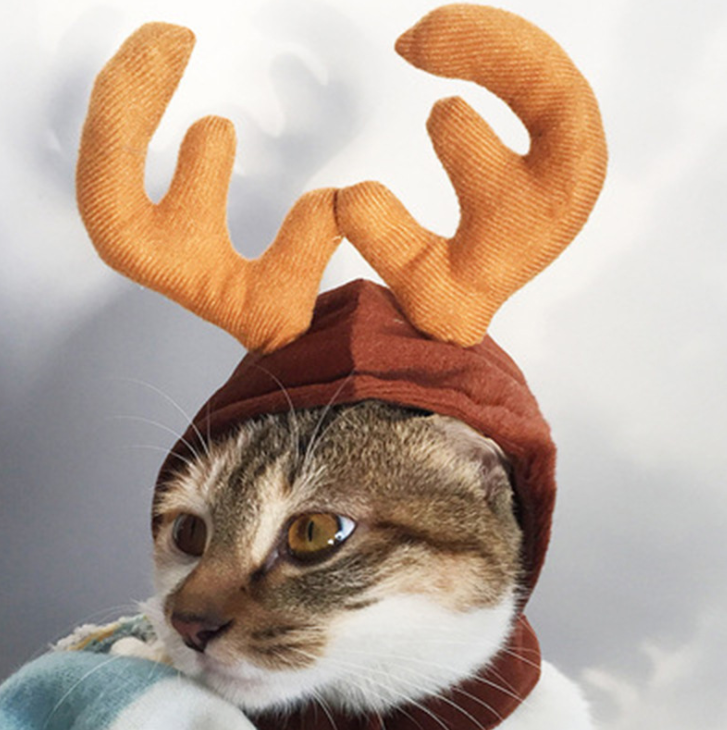 Pet Costume Antlers, Hat and Scarf Set for Dogs and Cats
