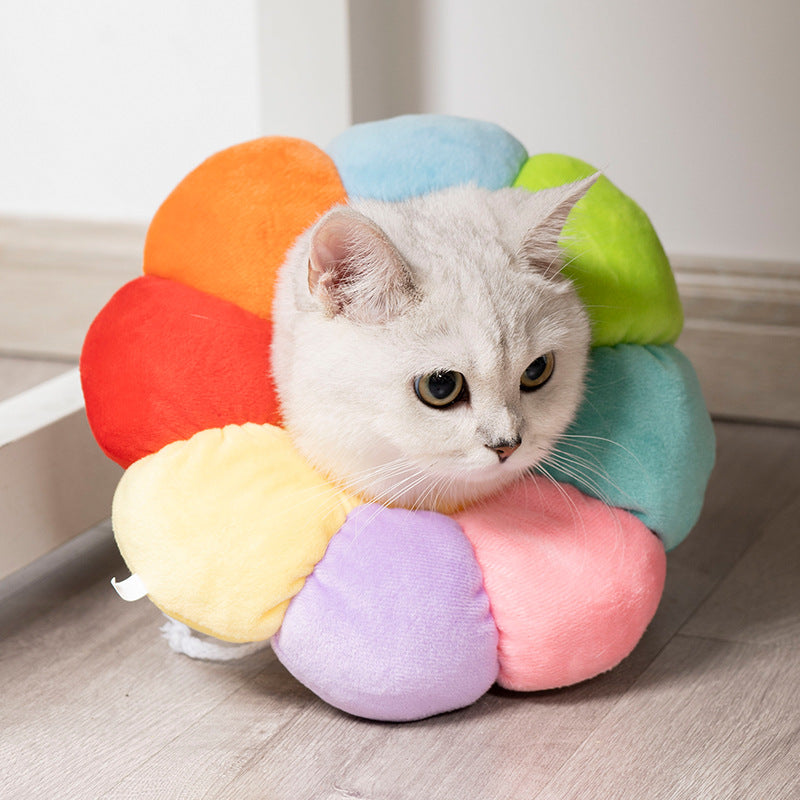 Pet Anti-Licking Anti-Scratching Neck Collar