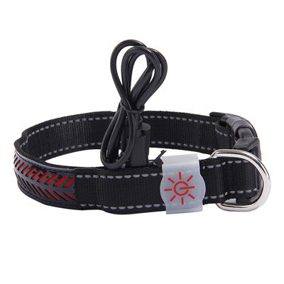 LED Pet Safety Collar with USB Rechargable Battery