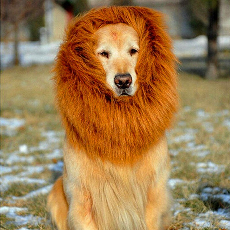 Lion Head Wig Costume for Dogs