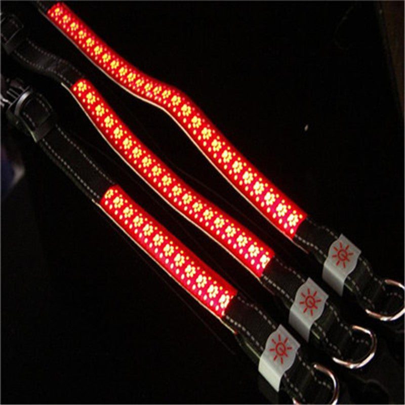 LED Pet Safety Collar with USB Rechargable Battery