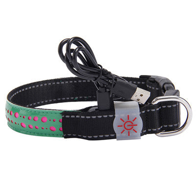 LED Pet Safety Collar with USB Rechargable Battery