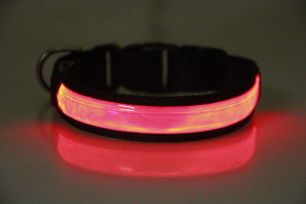 USB Rechargeable Luminous Pet Safety Collar