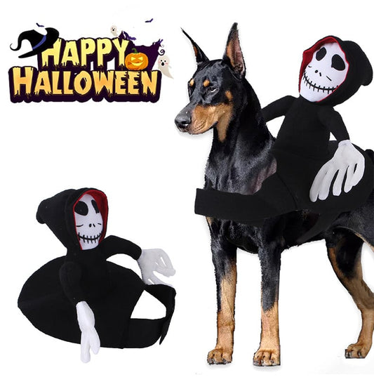 Halloween Goblin Rider Pet Costume