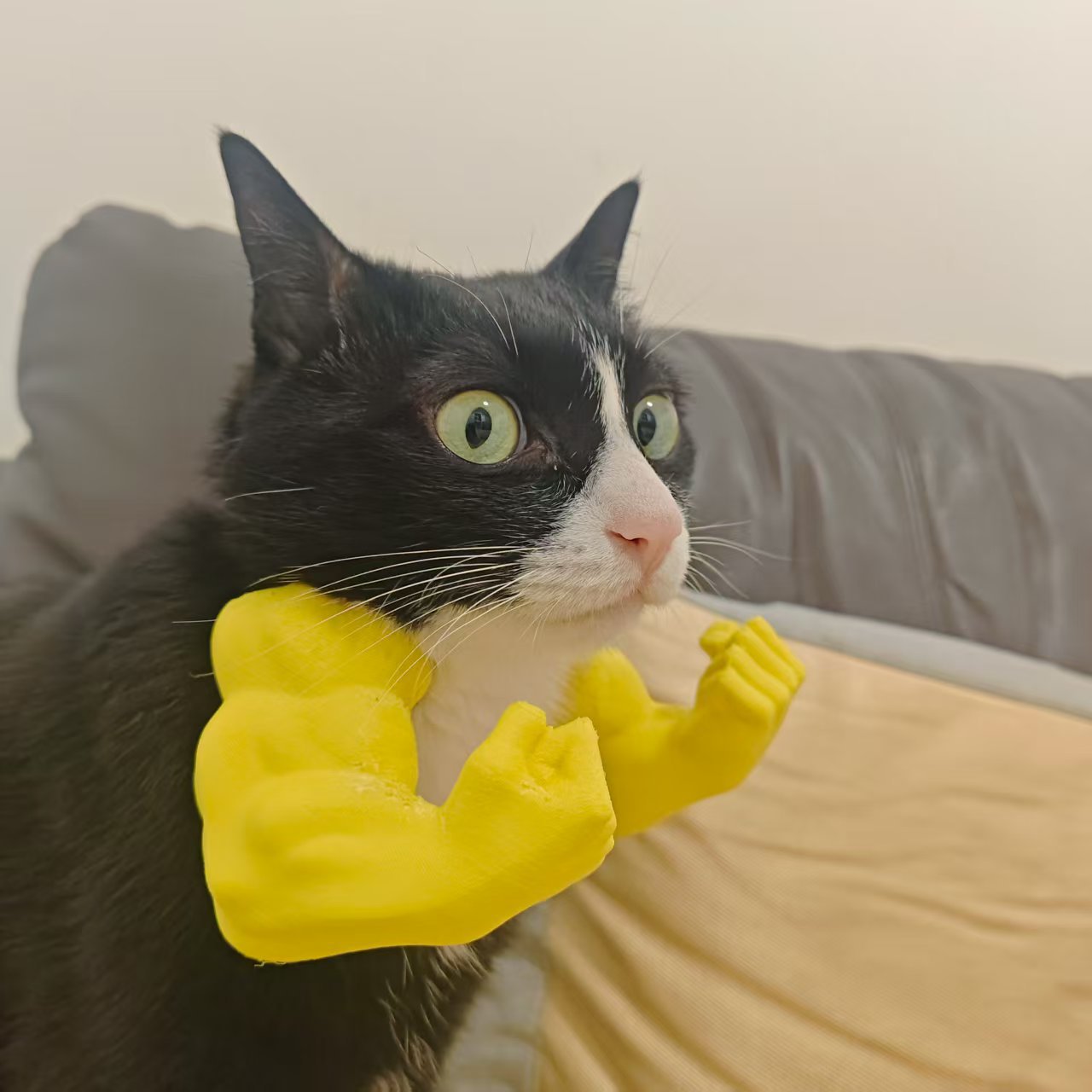 Hulk Cat Arm Pet Dog Toy Photography Prop 3D Printed Cute Funny Creative Cat Costume Backpack