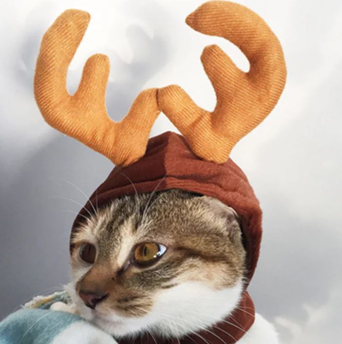 Pet Costume Antlers, Hat and Scarf Set for Dogs and Cats