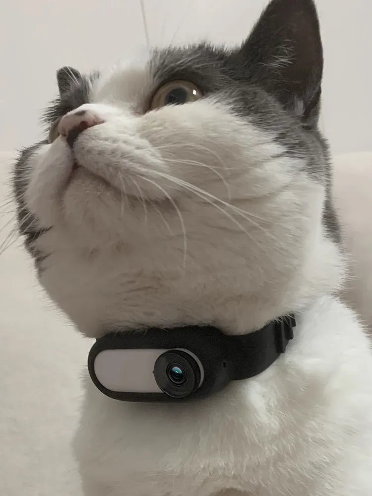 Wireless Pet Camera Collar for Cats and Dogs