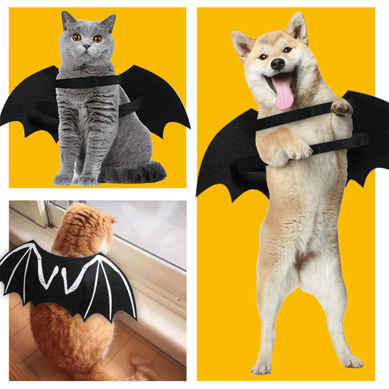 Pet Glow in the Dark Bat Wing Costume