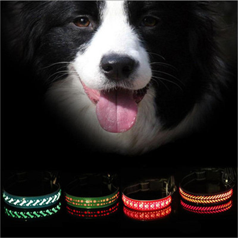 LED Pet Safety Collar with USB Rechargable Battery