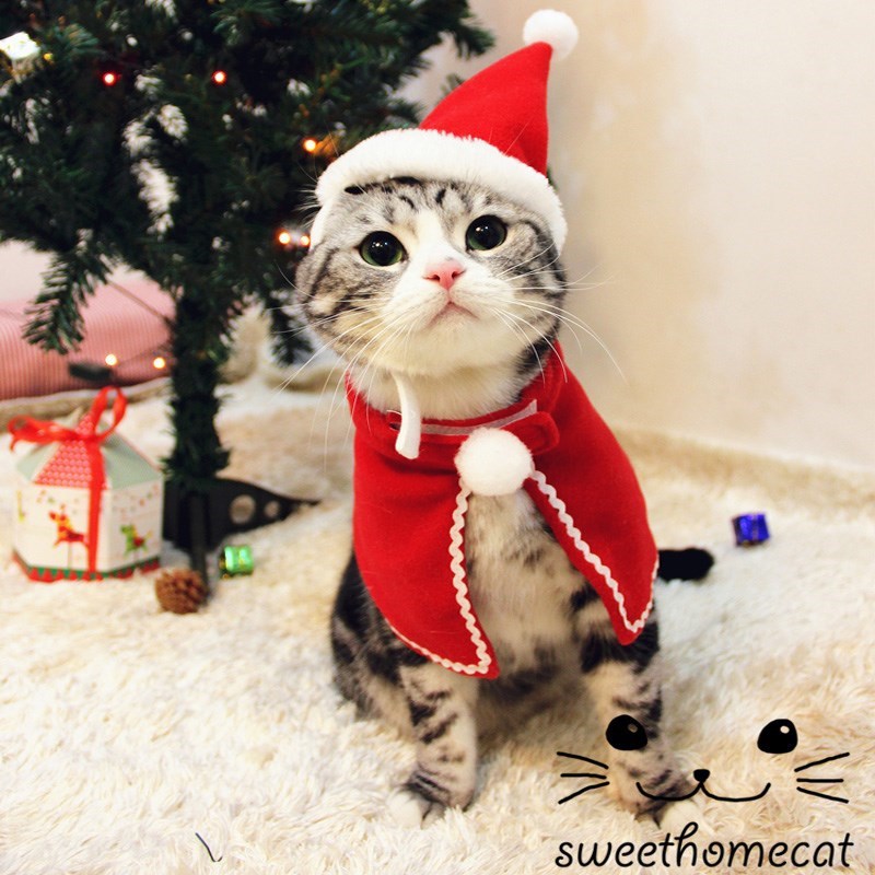 Pet Costume Antlers, Hat and Scarf Set for Dogs and Cats