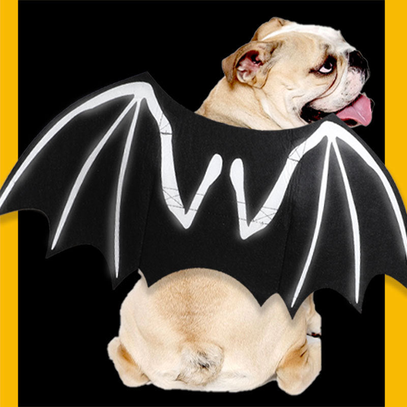 Luminous Bat Wings Costume Transformation
