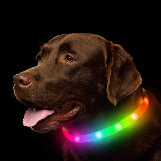 LED Luminous Pet Safety Collar