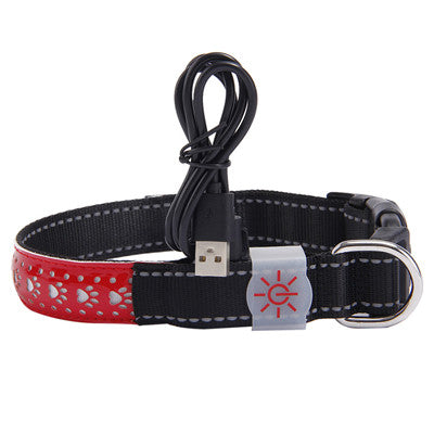 LED Pet Safety Collar with USB Rechargable Battery