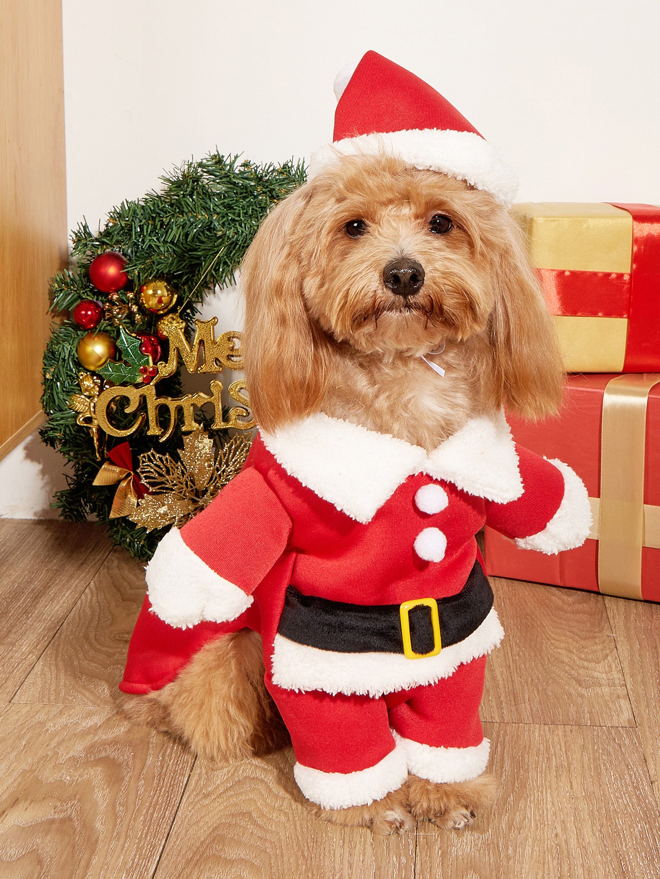 Christmas Santa Costume for Small Pets