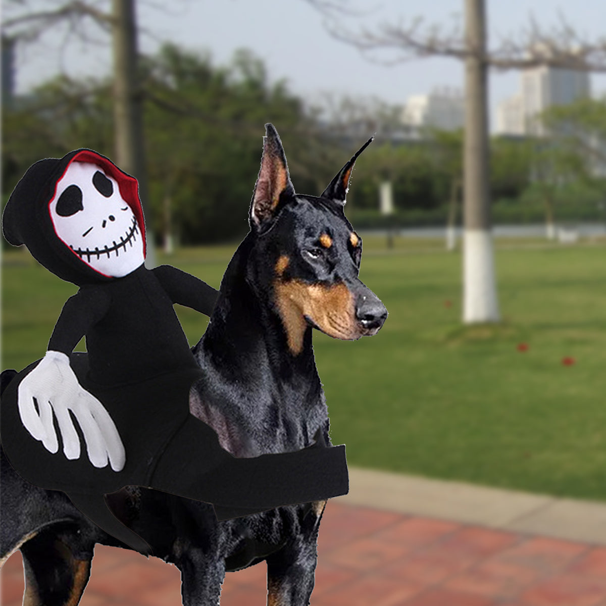 Pet Halloween Goblin Rider Costume