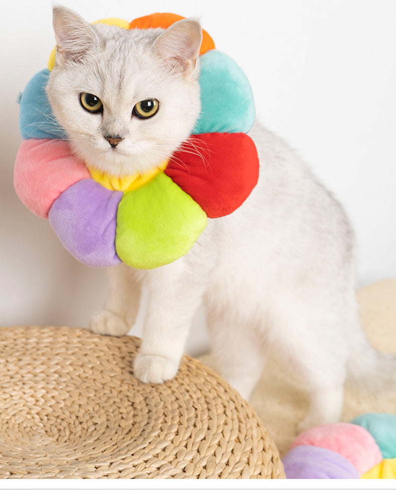 Pet Anti-Licking Anti-Scratching Neck Collar