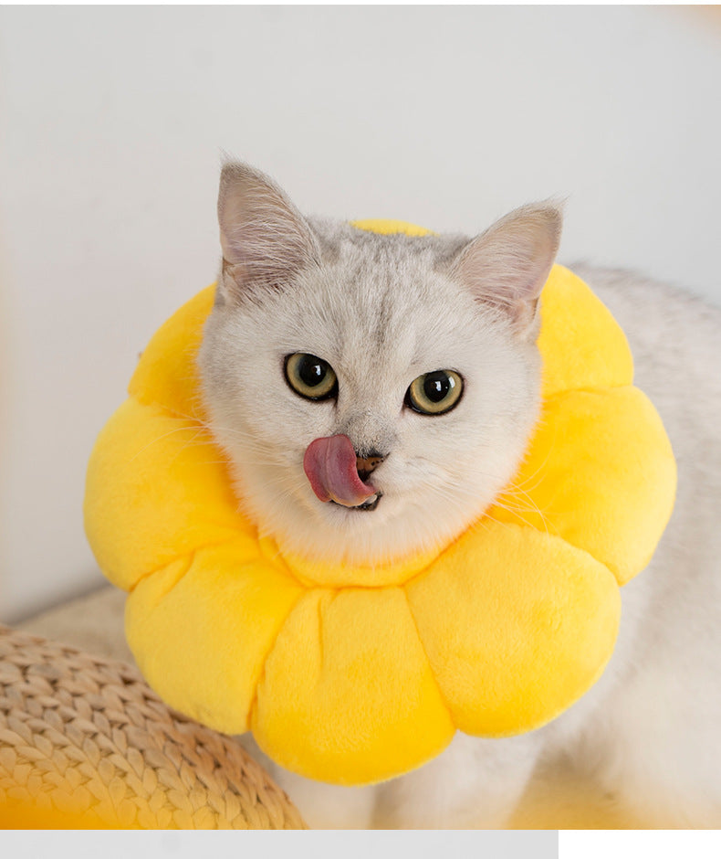 Pet Anti-Licking Anti-Scratching Neck Collar