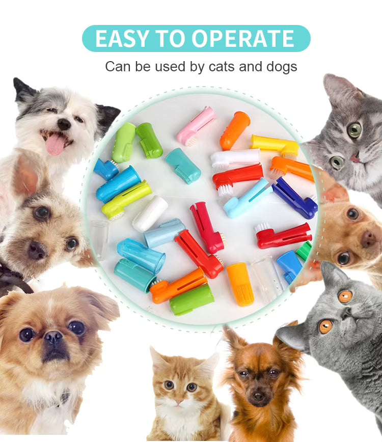 Pet Toothbrush