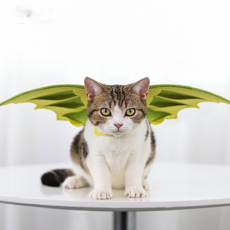 Pet Dragon Wings Costume